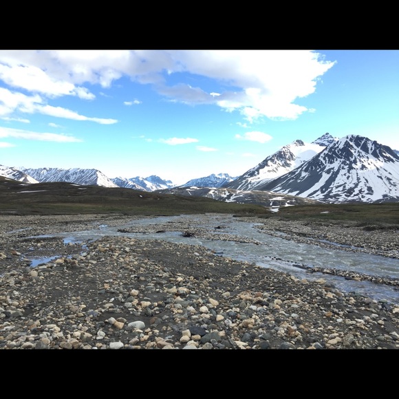 Meet your Posher, America - Picture 1 of 1